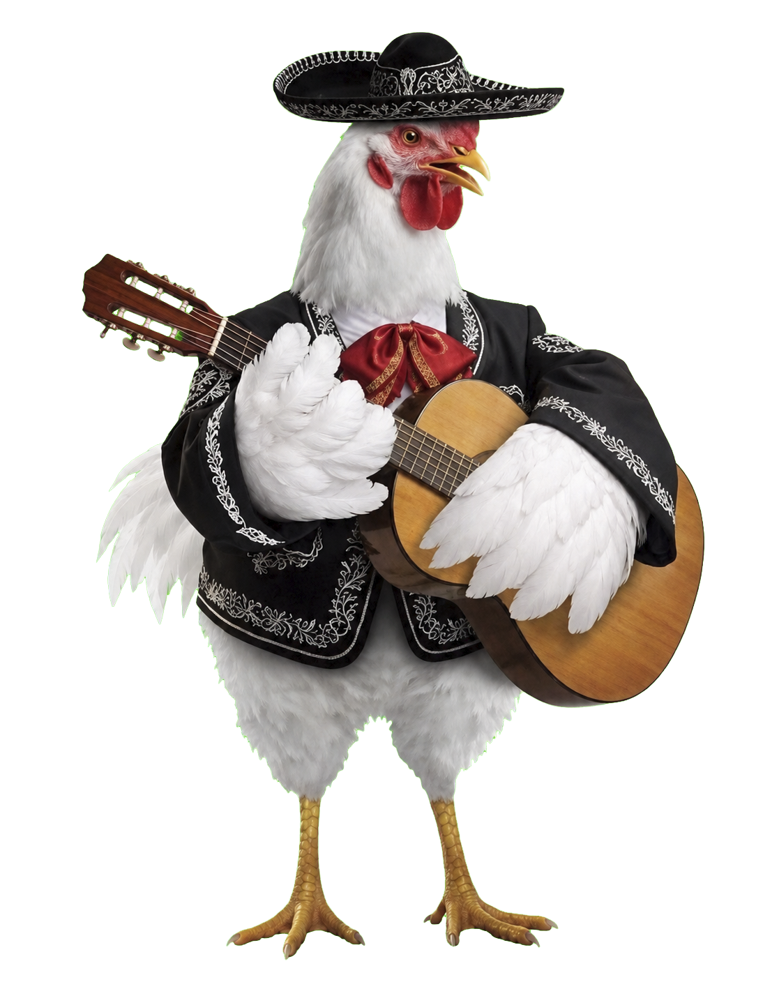Productos de Pollo