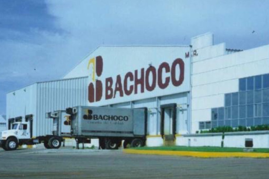 1994 bachoco history